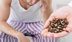 Лечение аденомы простаты пчелиным подмором