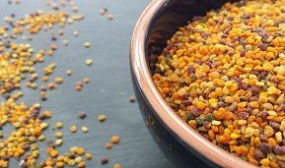 Как сушить пчелиную пыльцу в домашних условиях