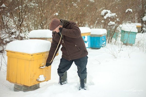 Работы на пасеке в феврале