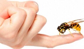 лечение остеохондроза пчелами