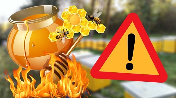 Вред нагретого меда