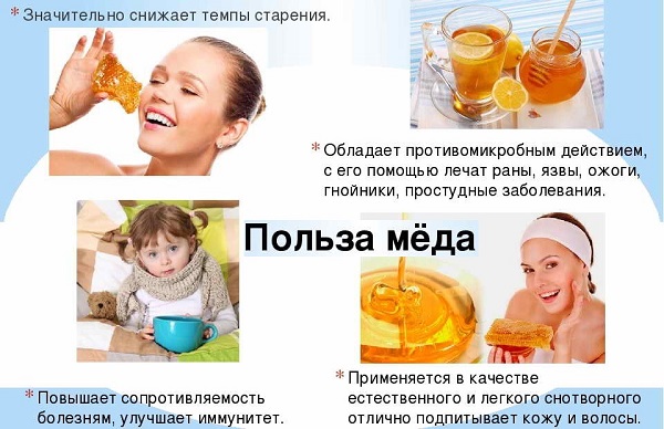 Полезные свойства меда