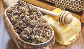 Прополис от коронавируса