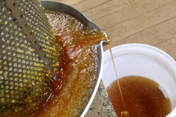 Отделение меда от сот