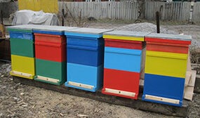 Чем покрасить улей