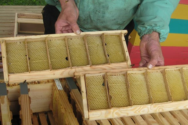 Сборка на 10 соторамок