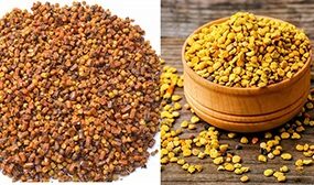 Перга и пыльца - в чем разница?