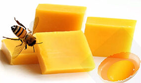 Откуда пчелы берут воск