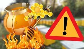 Можно ли нагревать мед?