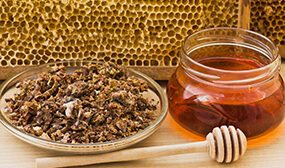 Как собрать прополис?