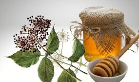 Мед из аралии