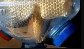 улей из пластиковых бутылок своими руками