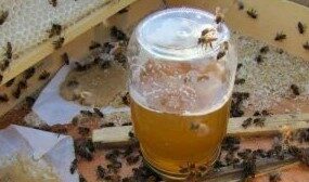 Подкормка пчел сахарным сиропом