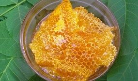 Генетическая память мёда