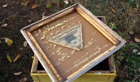 Пчелоудалитель своими руками