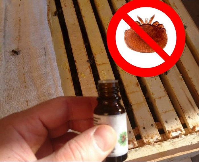 Эффективность против клещей