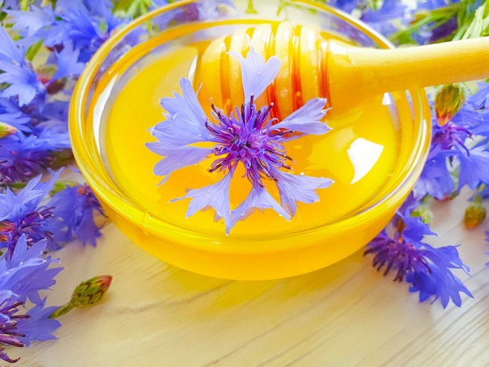 Мед из лугового василька