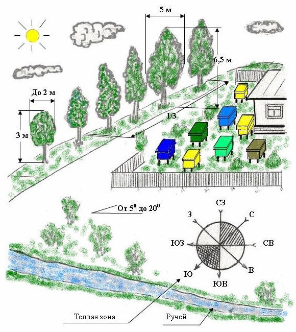 Правила расстановки ульев