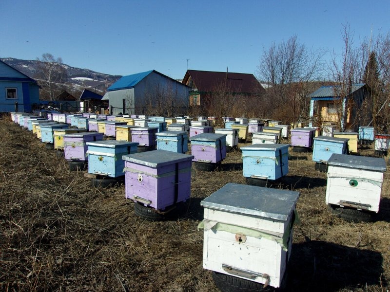 Рядовой способ