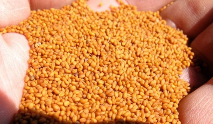 Подготовка к посадке