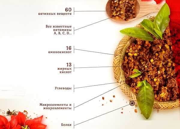 Состав пчелиной перги