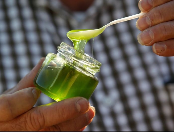 Мед зеленого цвета