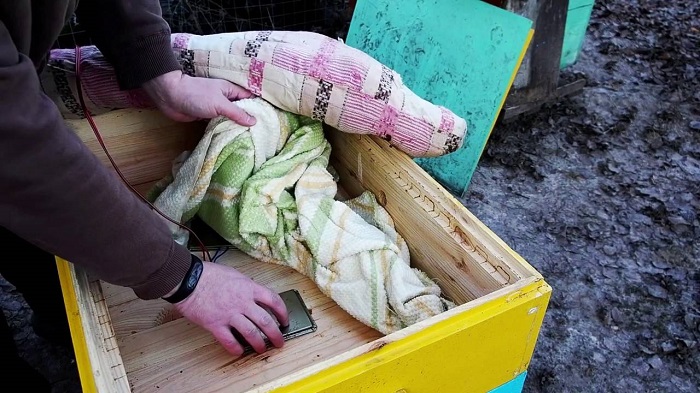 Подогрев улья зимой