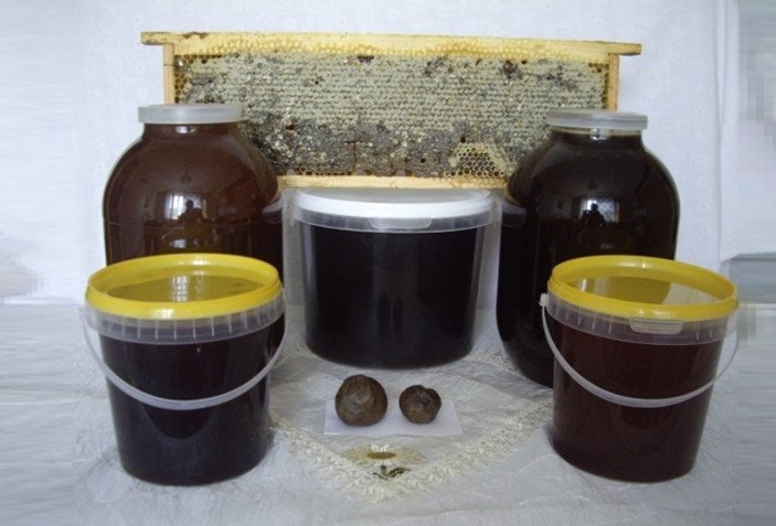 Разновидности темного меда