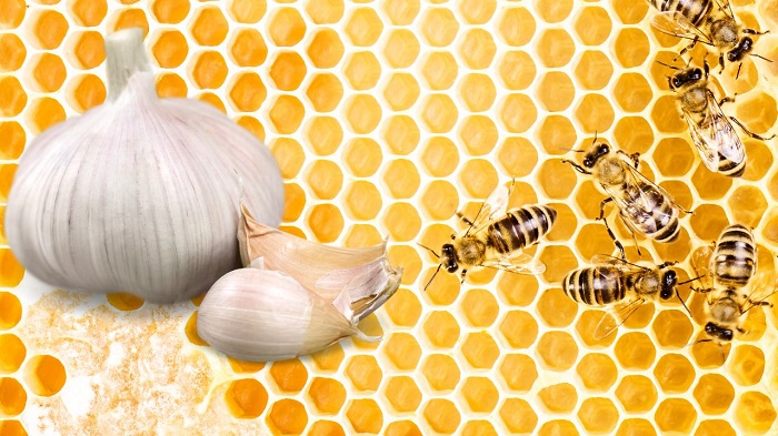 Чеснок и пчелы