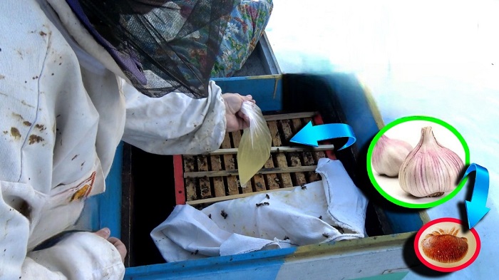 Обработка чесноком