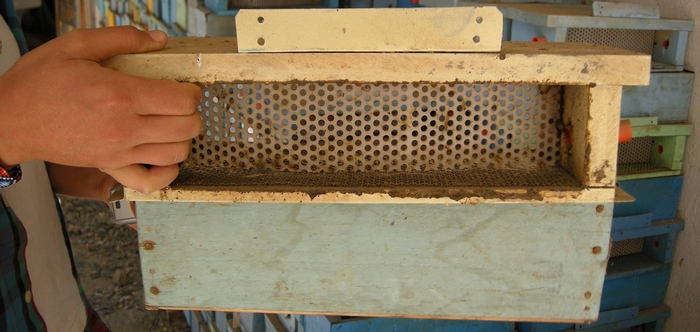 Пыльцесборник